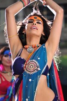 DCM Item Song Stills